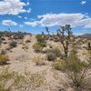 Photo of Mobile Home Lot