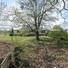 Mobile Home for Sale: 3 Bed 2 Bath 1991 Mobile Home