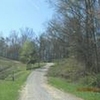 Mobile Home Lot for Sale: 1.00 acre Lot