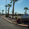 RV Park: Denali Park , Apache Junction, AZ