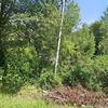Mobile Home for Sale: 3 Bed 1996 Mobile Home