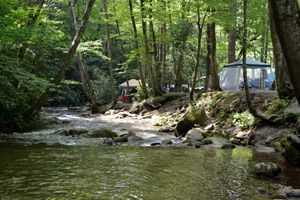 RV Park #343