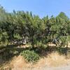 Mobile Home for Sale: 3 Bed 2 Bath 1974 Mobile Home