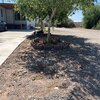 Photo of Mobile Home Lot