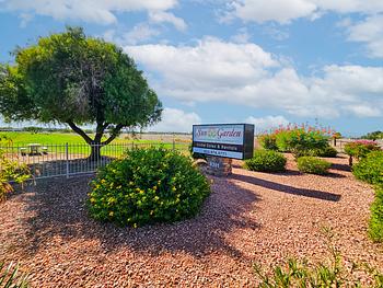 Photo of Sun and Garden