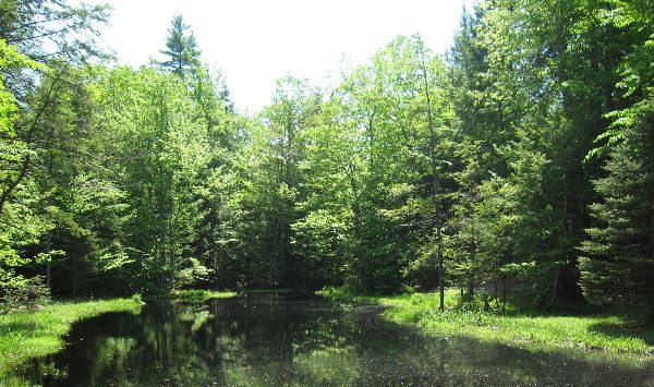 Photo of RV Park/Campground