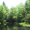 RV Park for Sale: Lake Sebago Area Campground, , ME