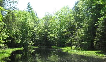 Thumbnail of RV park