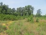 Photo of Mobile Home Lot