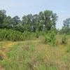 Photo of Mobile Home Lot