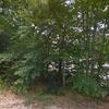 Mobile Home for Sale: Mobile Home