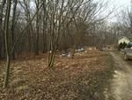Photo of Mobile Home Lot