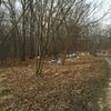 Photo of Mobile Home Lot