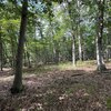 Photo of Mobile Home Lot