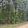 Mobile Home Lot for Sale: READY FOR DEVELOPMENT! Beautiful Lot in Rural Setting!, Darlington, SC
