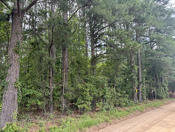 Photo of READY FOR DEVELOPMENT! Beautiful Lot in Rural Setting!
