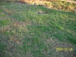 Photo of Mobile Home Lot