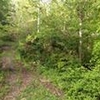 Mobile Home Lot for Sale: 0.65 acre Lot