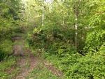 Photo of Mobile Home Lot
