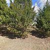 Mobile Home for Sale: 3 Bed 2 Bath 1999 Mobile Home