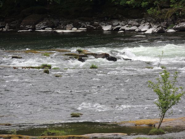 Photo of RV Park/Campground