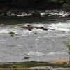 Photo of RV Park/Campground