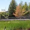 Mobile Home for Sale: 3 Bed 2 Bath 1998 Mobile Home