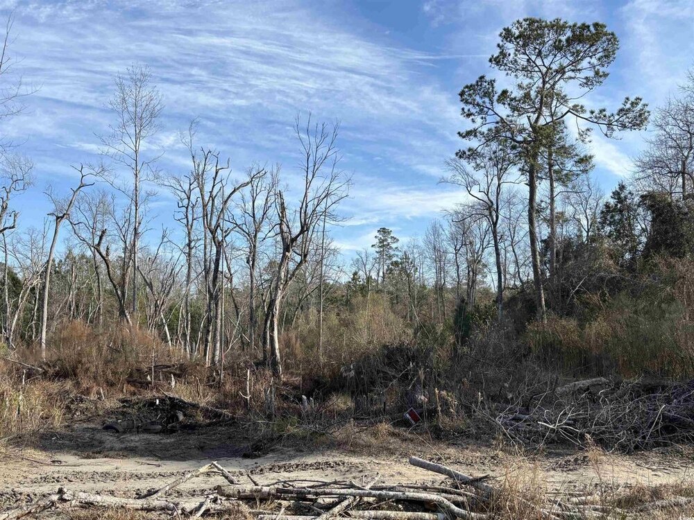 Photo of Mobile Home Lot