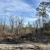 Photo of Mobile Home Lot