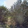 Mobile Home for Sale: 2005 Mobile Home