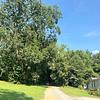 Mobile Home for Sale: 1991 Mobile Home