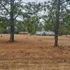 Mobile Home for Sale: 3 Bed 3 Bath 2000 Mobile Home