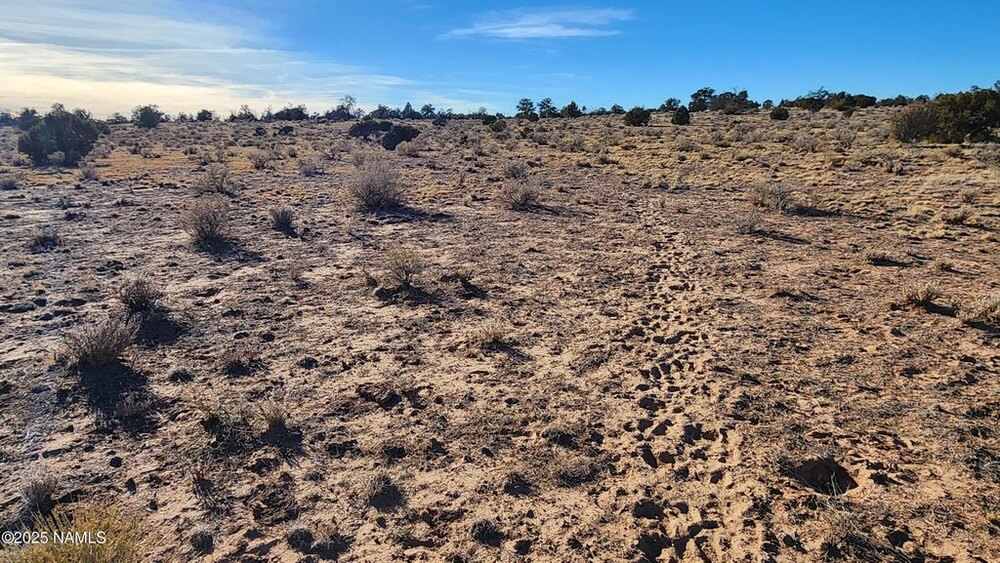 Photo of Mobile Home Lot