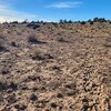 Photo of Mobile Home Lot