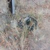 Photo of Mobile Home Lot