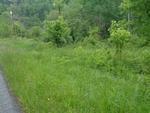 Photo of Mobile Home Lot