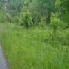 Photo of Mobile Home Lot