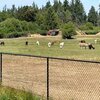 RV Lot for Rent: Long Term RV Space for Rent, Port Angeles, WA
