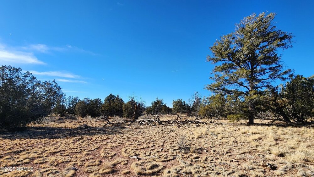 Photo of Mobile Home Lot