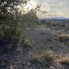 Photo of Mobile Home Lot