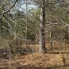 Photo of Mobile Home Lot