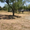Photo of RV Park/Campground
