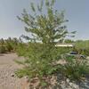Mobile Home for Sale: 3 Bed 2 Bath 1992 Mobile Home