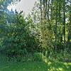 Mobile Home for Sale: 3 Bed 2 Bath Mobile Home
