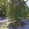 Mobile Home for Sale: 3 Bed 2 Bath 1974 Mobile Home