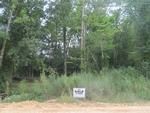 Photo of Mobile Home Lot