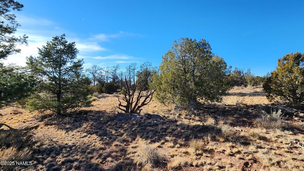Photo of Mobile Home Lot