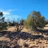 Photo of Mobile Home Lot