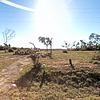 Mobile Home for Sale: 3 Bed 2 Bath 2016 Mobile Home