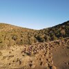 Photo of Mobile Home Lot
